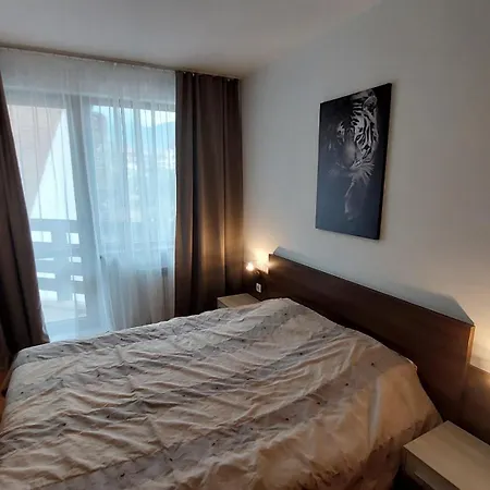 Belvedere Club - Mountain View